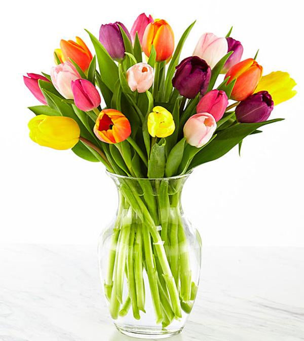 Tulip Bouquet