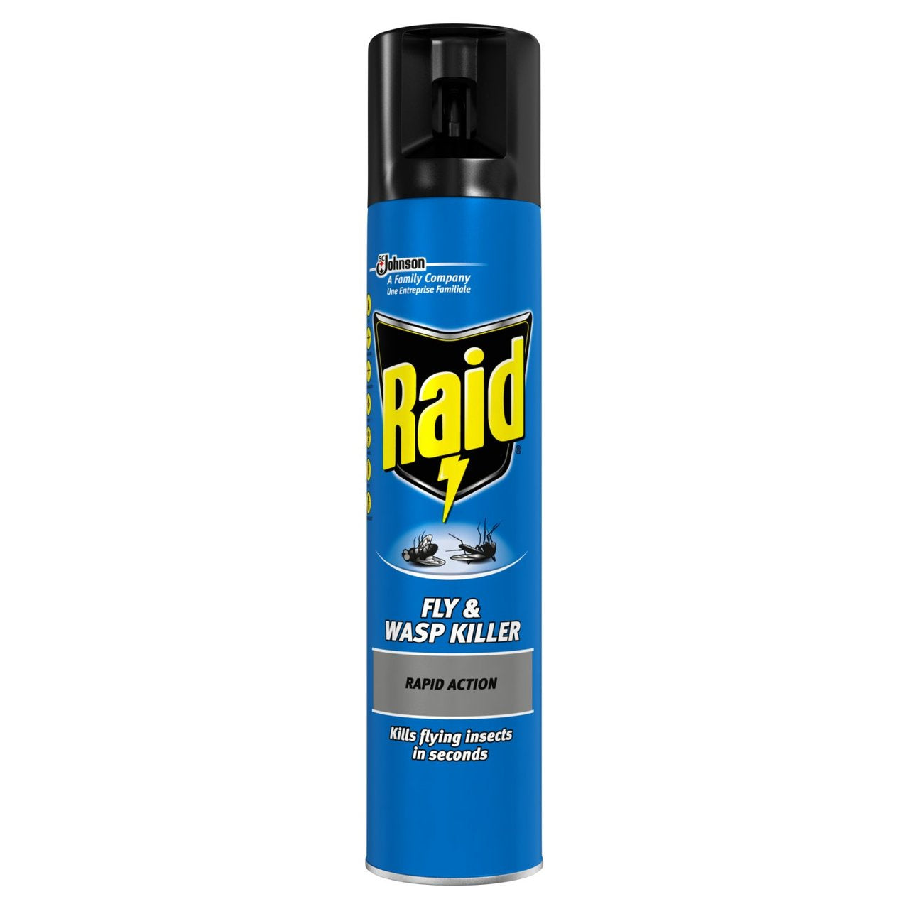 Raid Fly & Wasp Killer 300ml