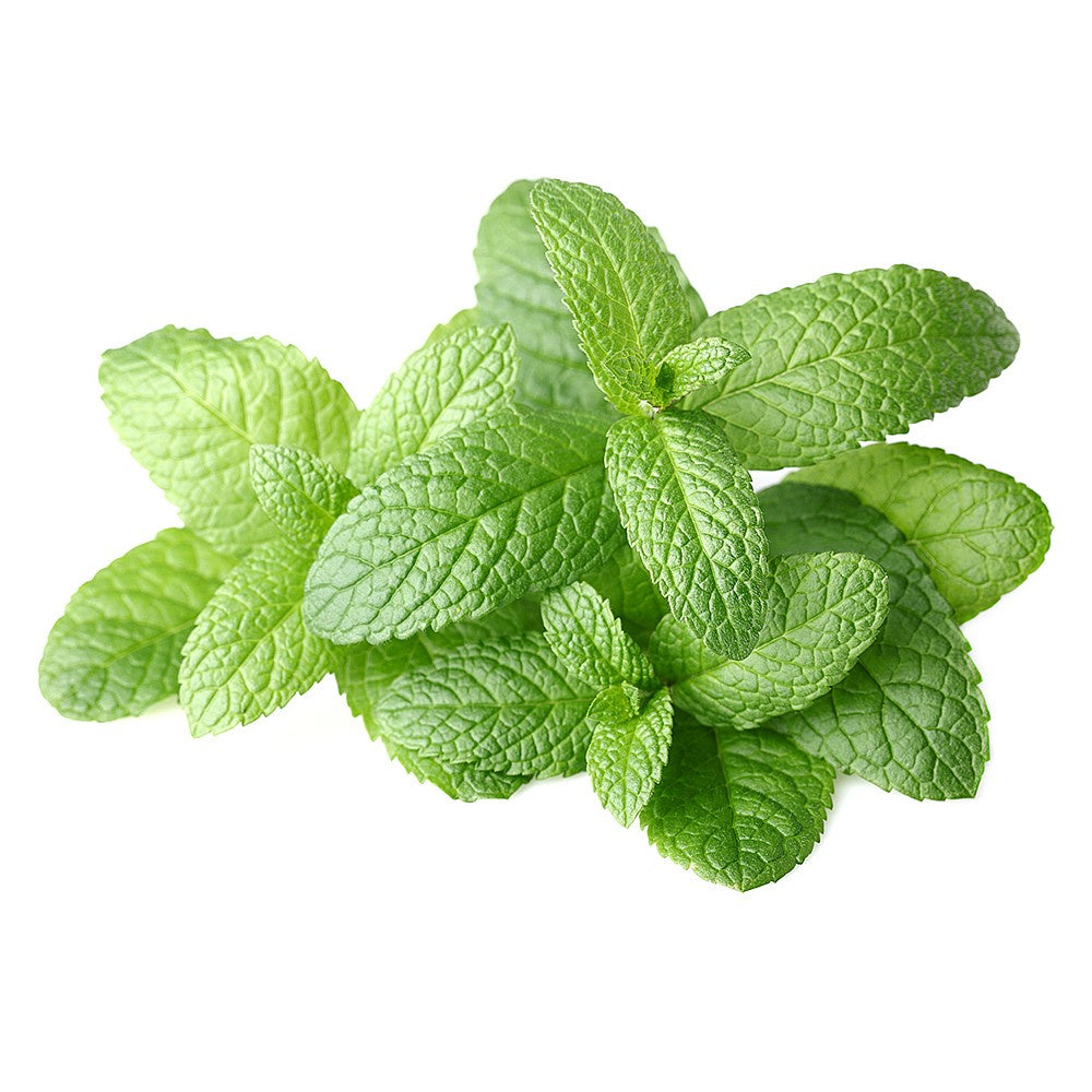 Fresh Mint 25g