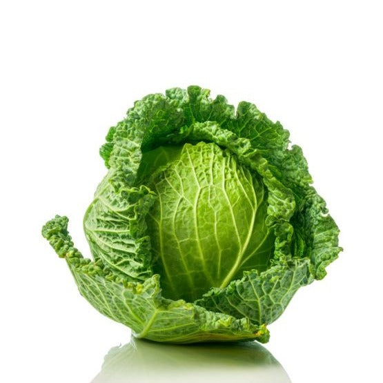 Savoy Cabbage
