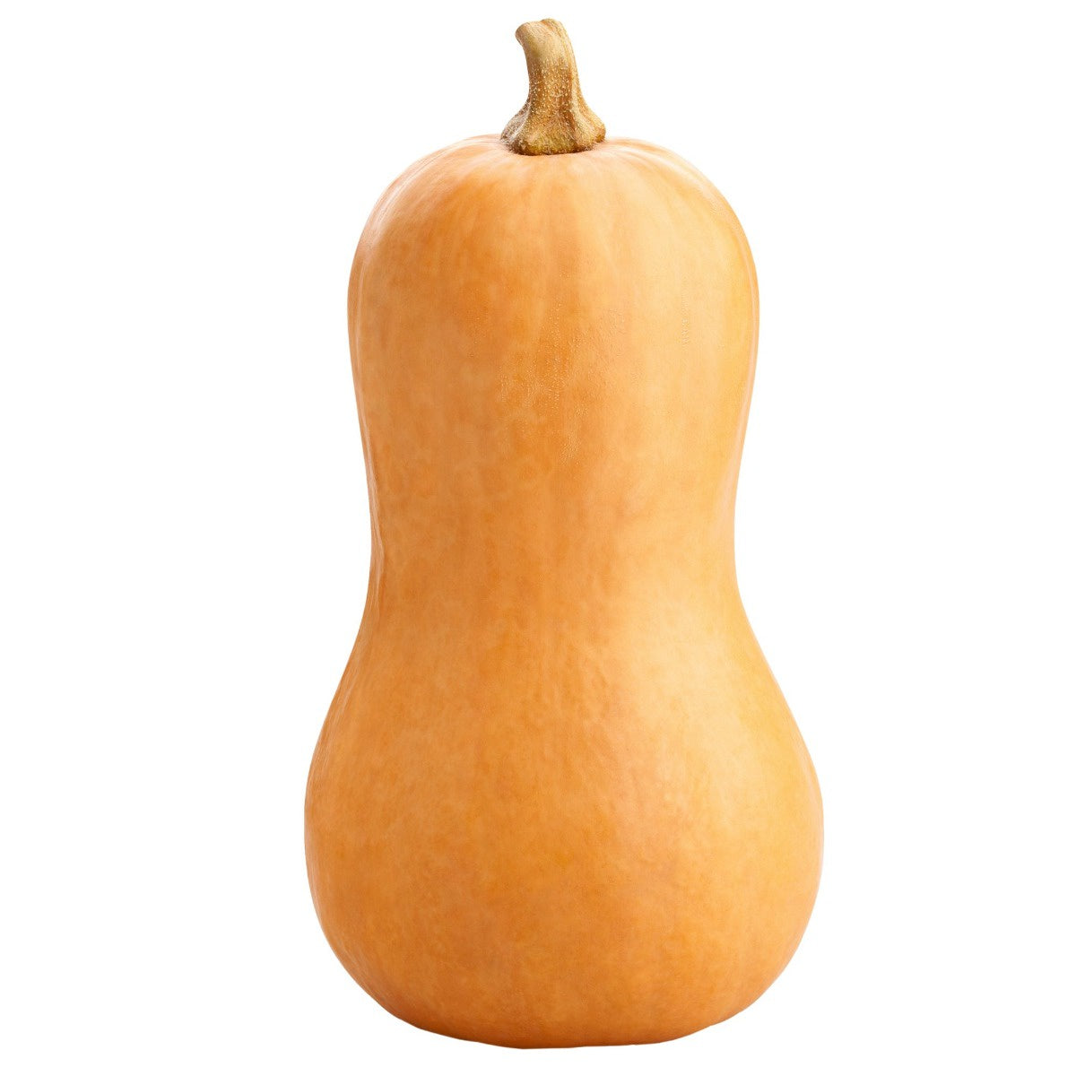 Butternut Squash (per kg) - Please Weigh