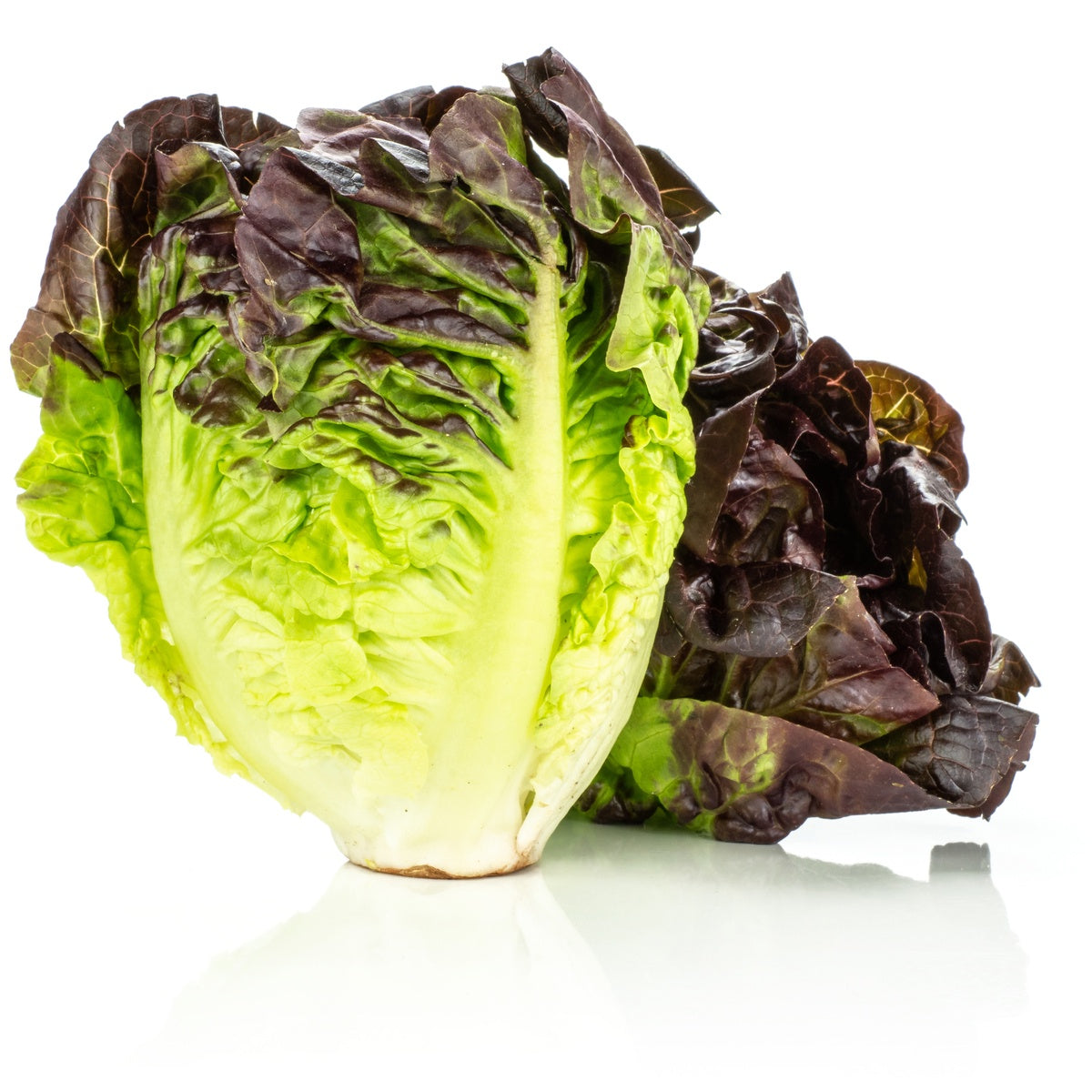 Red Gem Lettuce 2pk